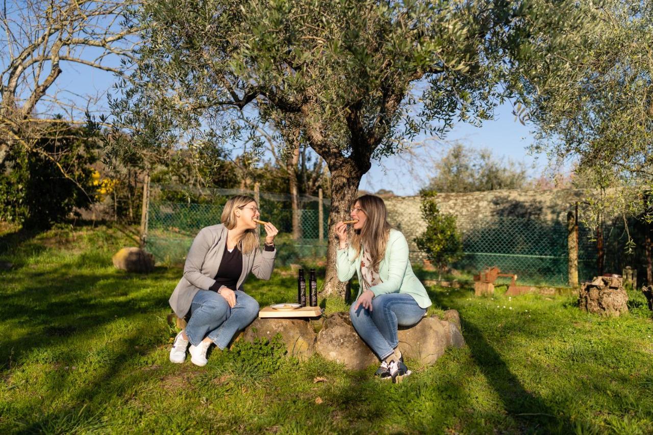 Agriturismo Bellandi Santa Lucia  Exteriér fotografie