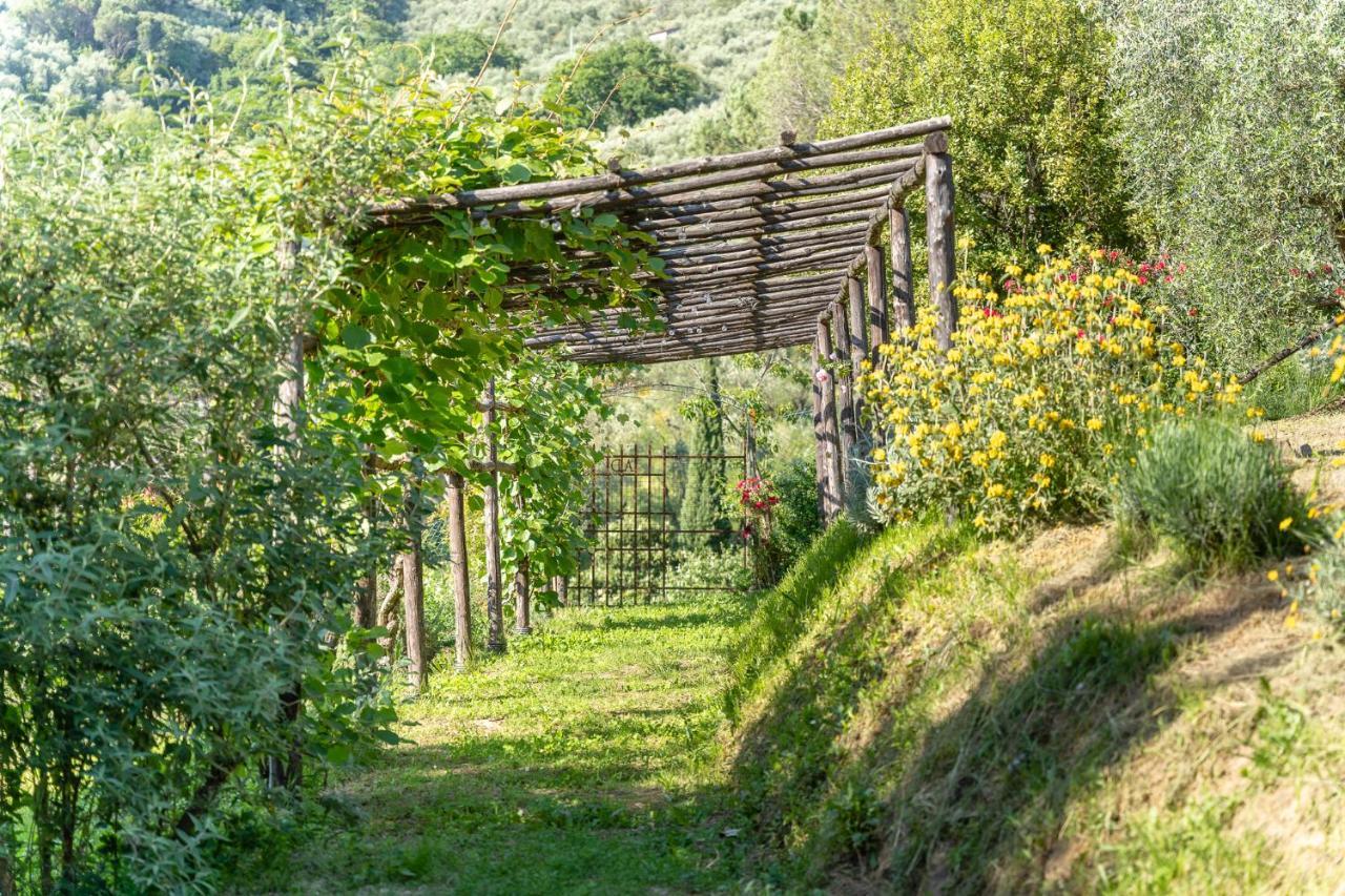 Agriturismo Bellandi Santa Lucia  Exteriér fotografie