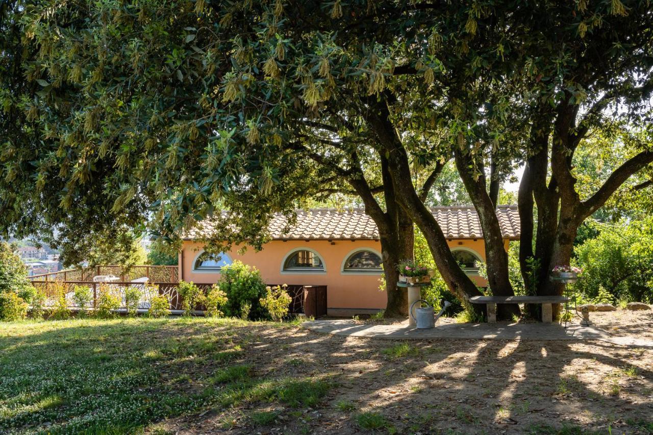 Agriturismo Bellandi Santa Lucia  Exteriér fotografie