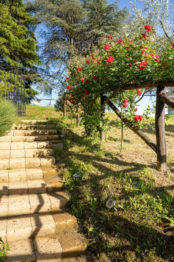 Agriturismo Bellandi Santa Lucia  Exteriér fotografie